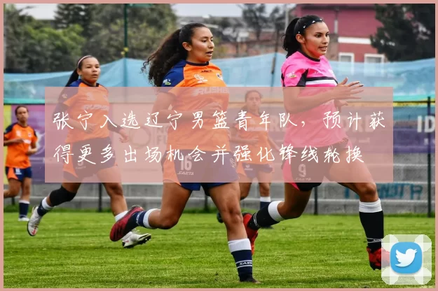 张宁入选辽宁男篮青年队，预计获得更多出场机会并强化锋线轮换