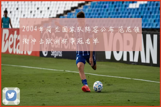 2004年荷兰国家队阵容公布 范尼领衔冲击欧洲杯争冠名单